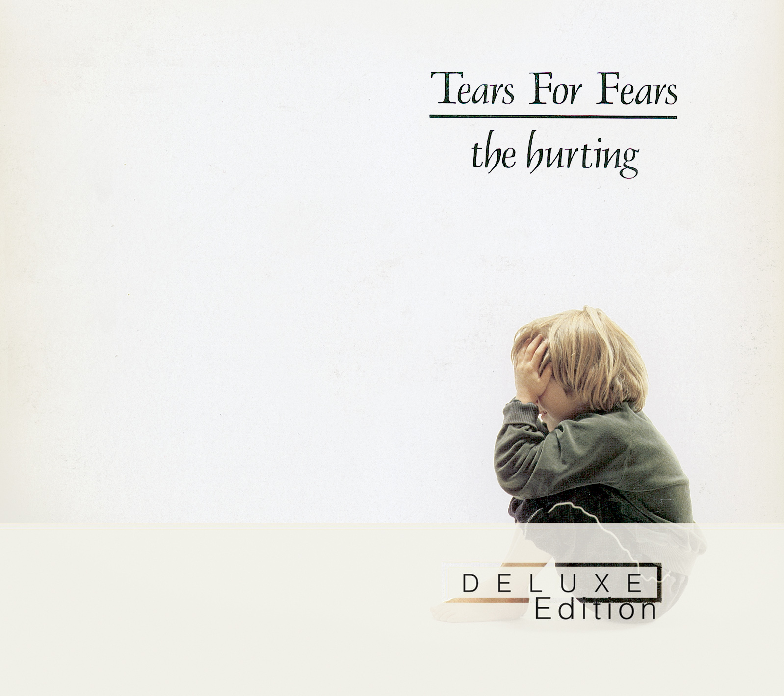 Tears For Fears The Hurting 30th Anniversary Edition Cover