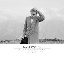David Sylvian: A Victim Of Stars - 1982-2012
